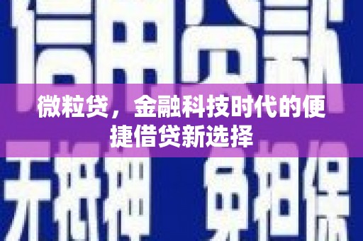 海林微粒贷，金融科技时代的便捷借贷新选择
