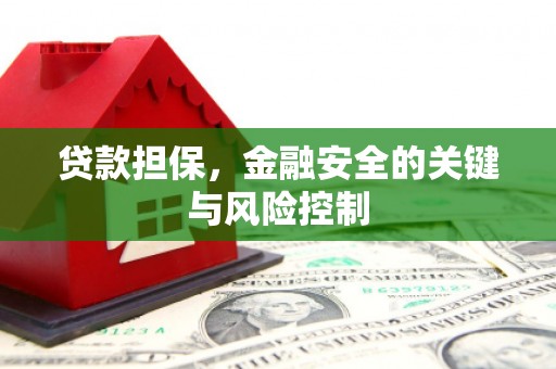 海林贷款担保，金融安全的关键与风险控制